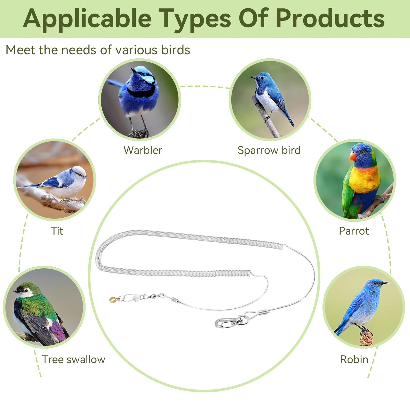 Pet Bird Anklet - Image 4