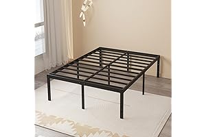 20 Inch Queen Bed Frame with No Box Spring