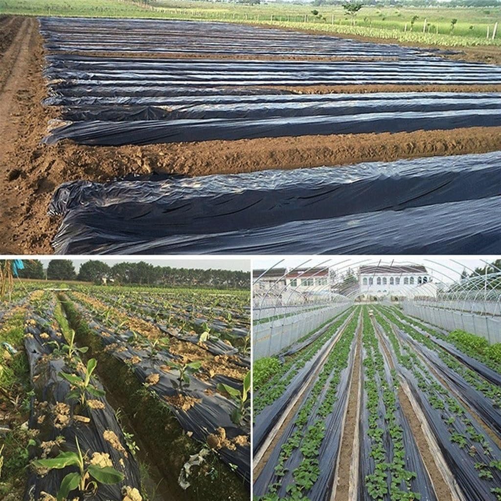 Film agricole Noir épais de 25 m, 0,01 mm, for la Plantation de légumes, Films de paillage en Plastique, contrôle des Mauvaises Herbes, Maintien au Chaud, Film de Culture(Width 0.8m)