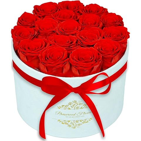 17 Forever Flowers in a Luxury Suede Box, Preserved Roses Birthday Gifts for Women, Romantic Anniversary Wedding Gifts for Women Her Girlfriend Wife, Red
