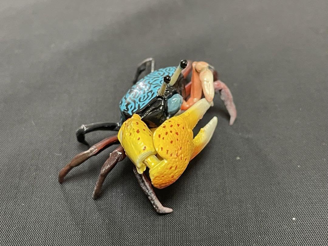 Amazon | 日本カニ大全(カプセルQ) KAIYODO 海洋堂 No.4 ルリマダラ