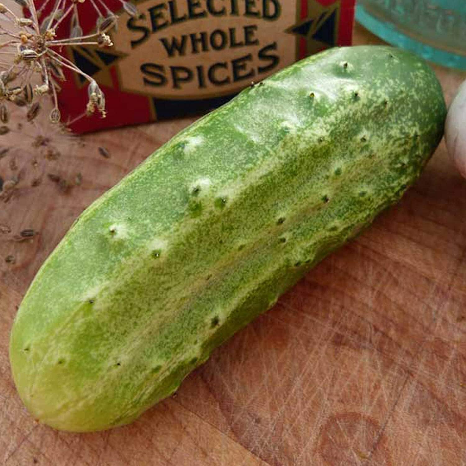 Willvine Salad Cucumber Seeds for Planting Outdoors-VDI-2B-picture-19