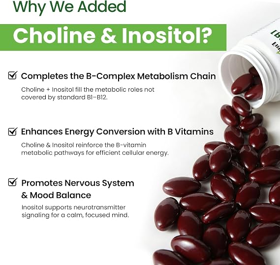 Liposomal B Complex for High Absorption Methylated B12,L-Methyfolate(5-MTHF ),Full Active B Vitamins with Choline Inositol-Energy, Metabolism,Brain & Heart Support,Vegan, Non-GMO,3 Month Supply