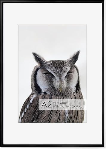 Miniatura 600 de Fun Memories Portarretratos de metal de 16 x 20 pulgadas con paspartú de 11 x 14 pulgadas, acabado de aluminio cepillado, parte delantera de vidrio