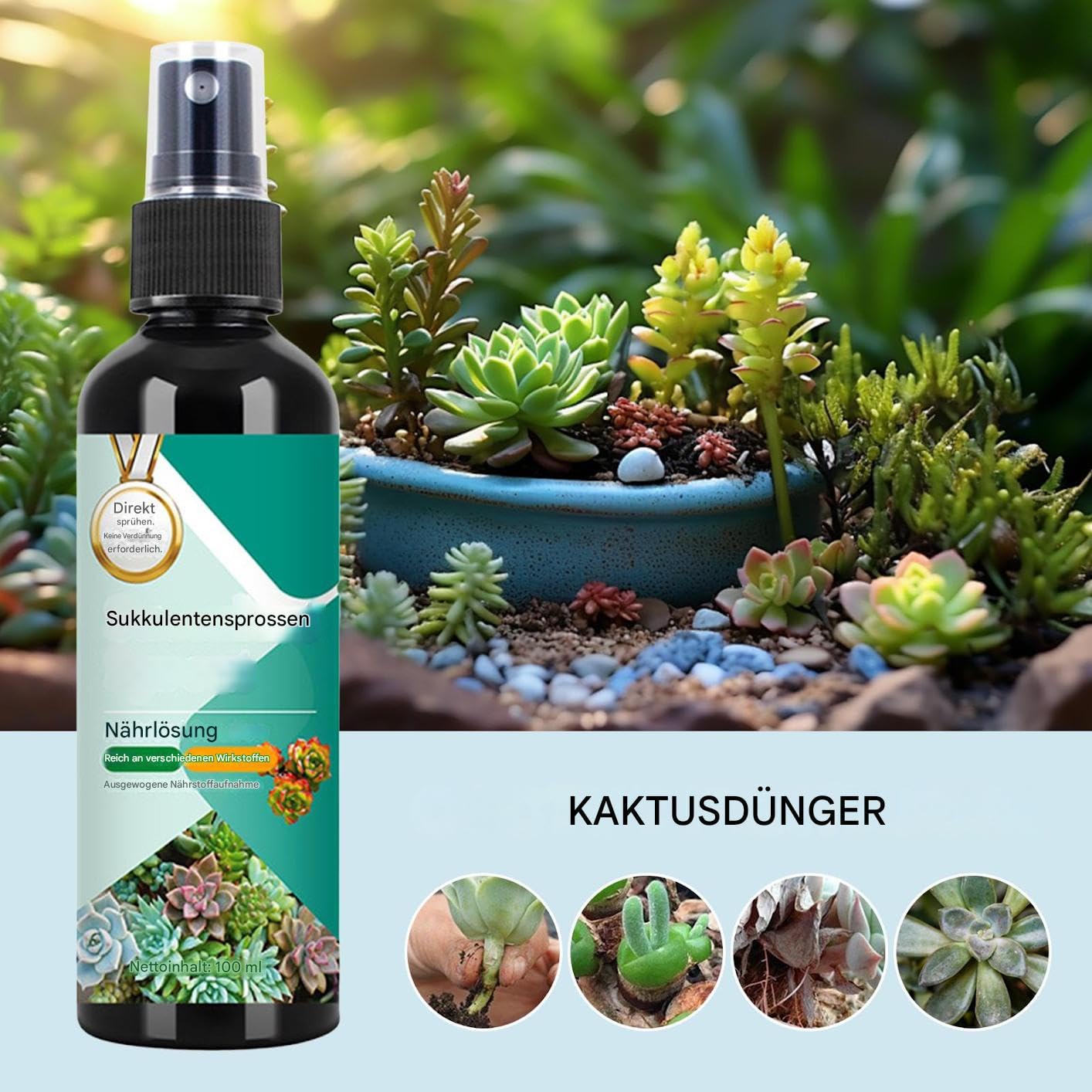 Kakteen Dünger Flüssiger Pflanzendünger | Sprossenstärker Spray Für Kakteen Und Sukkulenten - 100ml Langzeit Wachstumsspray Für Zimmerpflanzen Balkon Und Garten