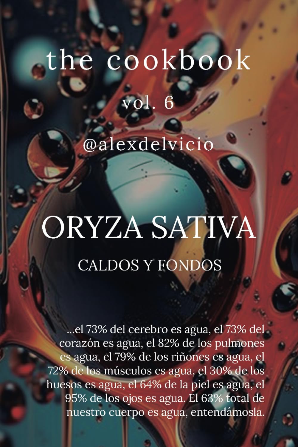 The cookbook vol. 6: Oryza Sativa: Caldos y fondos