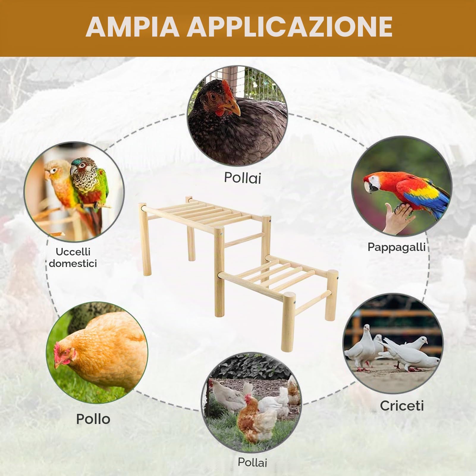 Posatoio Per Galline Da Pollaio,Giocattoli Per Polli Riutilizzabili E Facili Da Montare - Supporto per Appollaiarsi per Pulcini | per Cortile Giardino Pollaio e Spazi Gioco