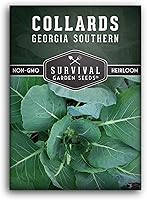 Georgia Southern Collard Green Seeds - Heirloom Non-GMO Leafy Greens for Home Gardens | Survival Garden Seeds