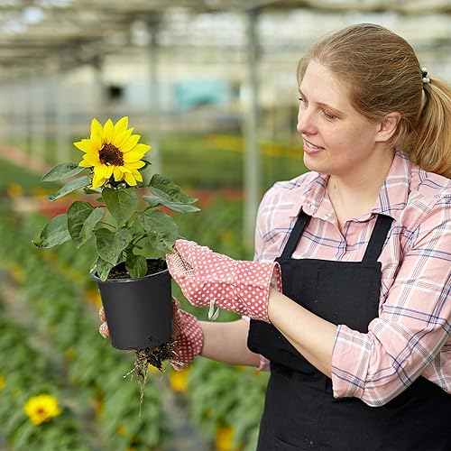 Miniatura 4 de Gerrii 1000 piezas de plantas de plástico de 4 pulgadas, maceta de vivero, macetas de inicio de semillas a granel, macetas de plástico para plantas