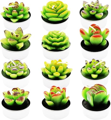 Miniatura 2 de 12 velas de cactus suculentas para decoración del hogar, spa, boda, día de San Valentín, regalo de cumpleaños, celebración de aniversario