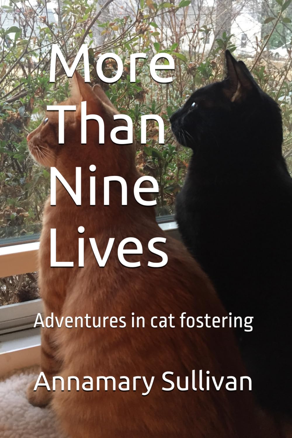 More Than Nine Lives: Adventures in cat fostering