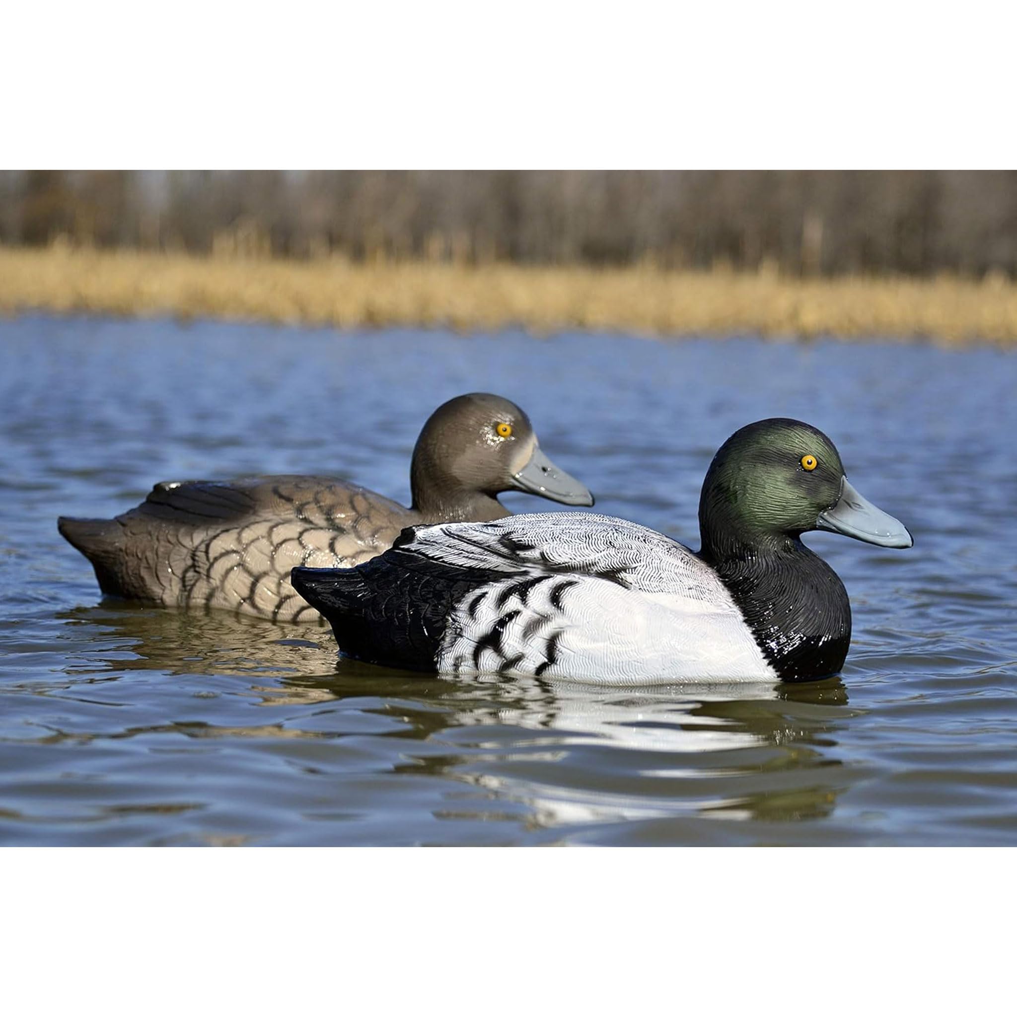 Higdon Outdoors Battleship Bluebill Duck Lockvögel, mit Schaumstoff gefüllt