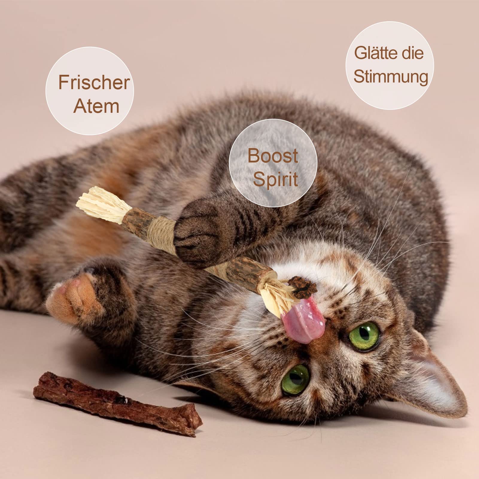 6 Bastoncini Di Erba Gatta Per Gatti - Giocattoli Masticabili, Cura Dentale, Antitartaro - Foto 6