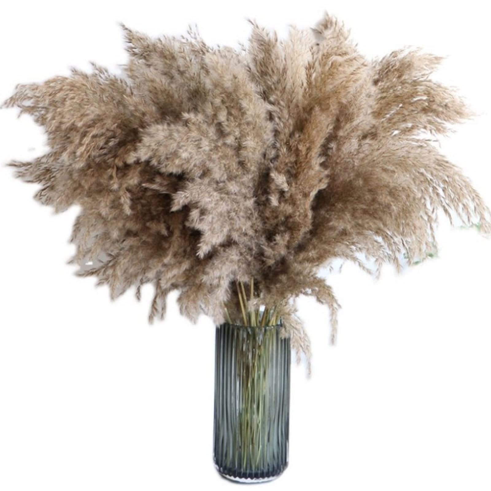 Herbe de Pampa séchée Naturelle Grande, 23 Pouces de Hauteur Wild Pampas Grass Fluffy Pompas Floral, Utilisé pour Le Mariage et la décoration de la Maison Boho Fleurs séchées,Brown-30Stems