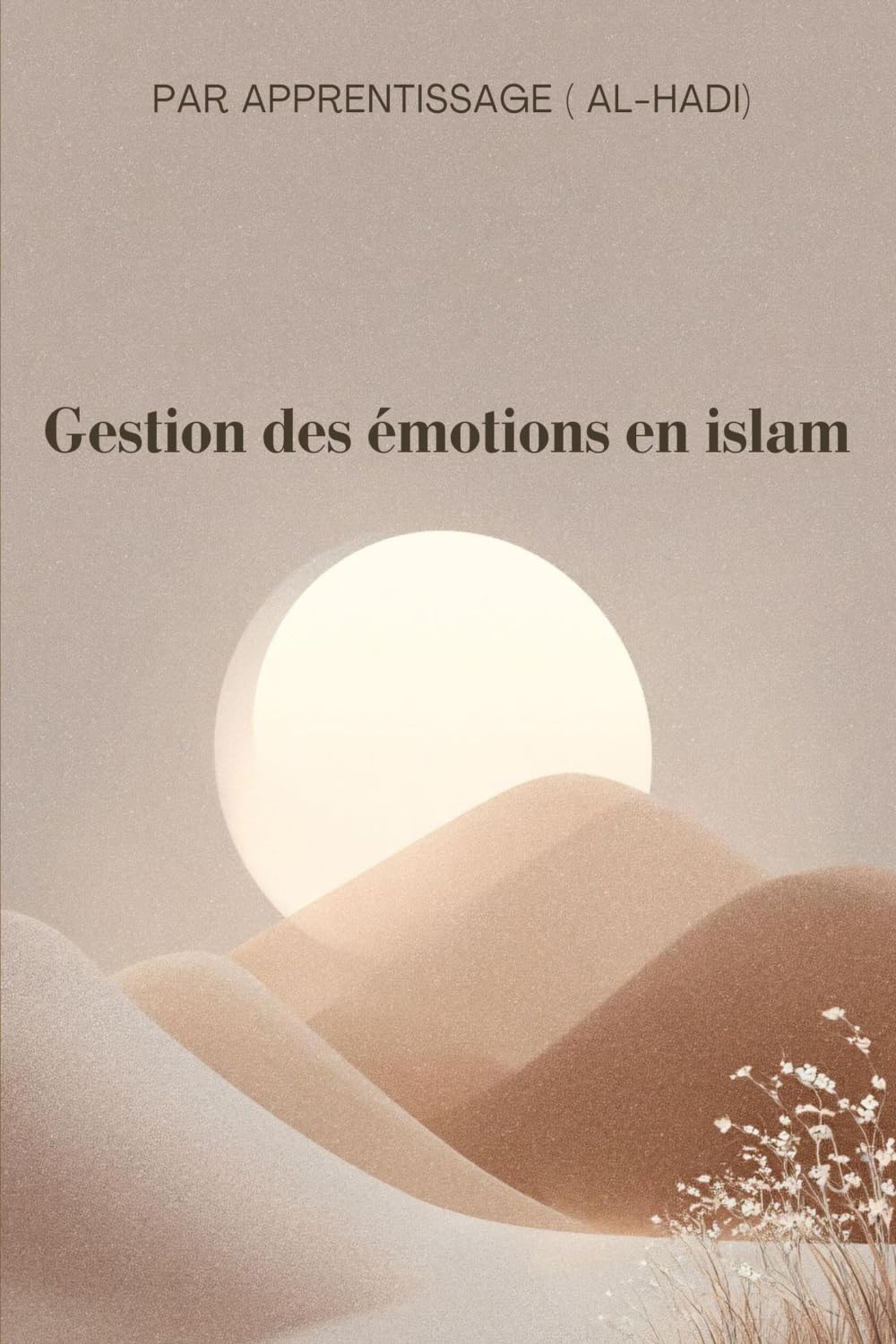 Gestion des émotions en islam