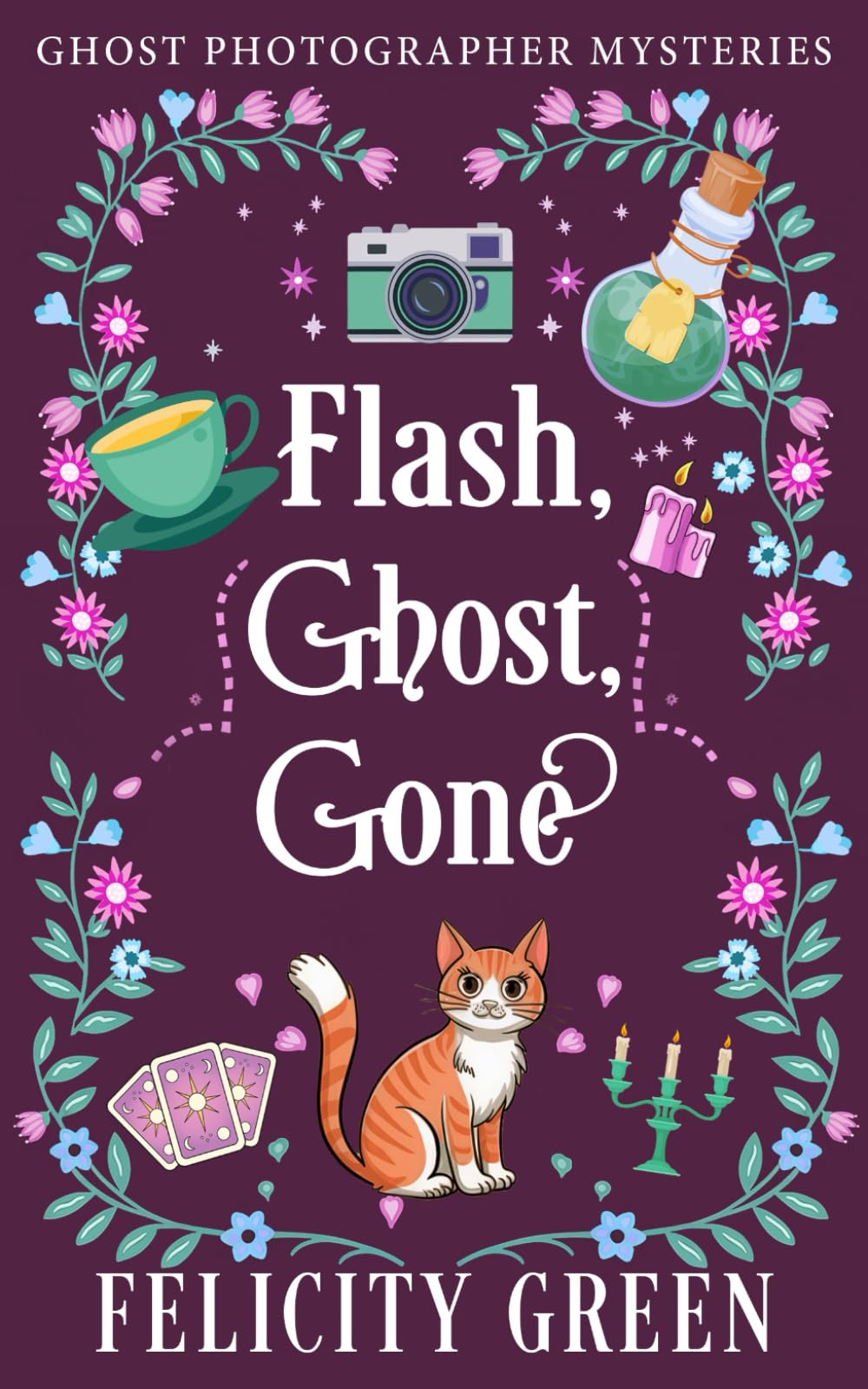 Flash, Ghost, Gone: A Ghost Photographer Paranormal Cozy Mystery: A Ghost Photographer Mystery: 3