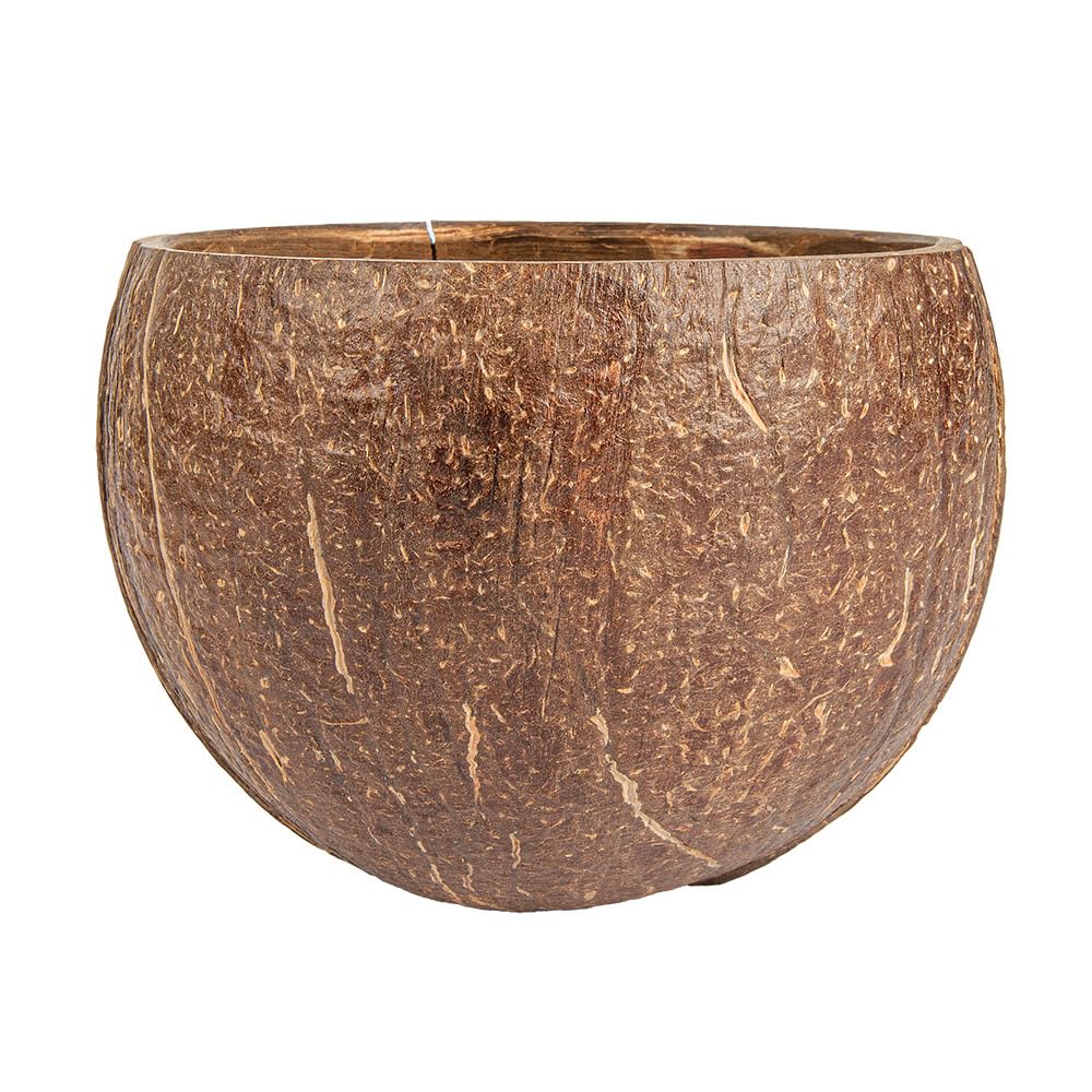 Garcia de Pou 5 Stück, Schüsseln, 200 ml, Ø 9 x 6 cm, natürliche Kokosnuss
