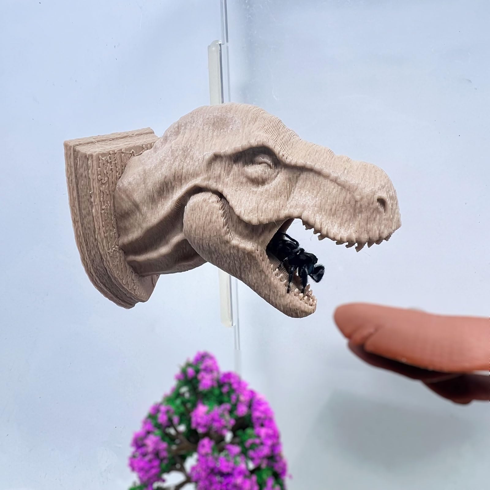 Daerky Jumping Spider Hide,3D Printed Dinosaur Head - A Fun Habitat for Jumping Spiders, Small Reptiles, and Small Pets, Suitable for Home Decor with