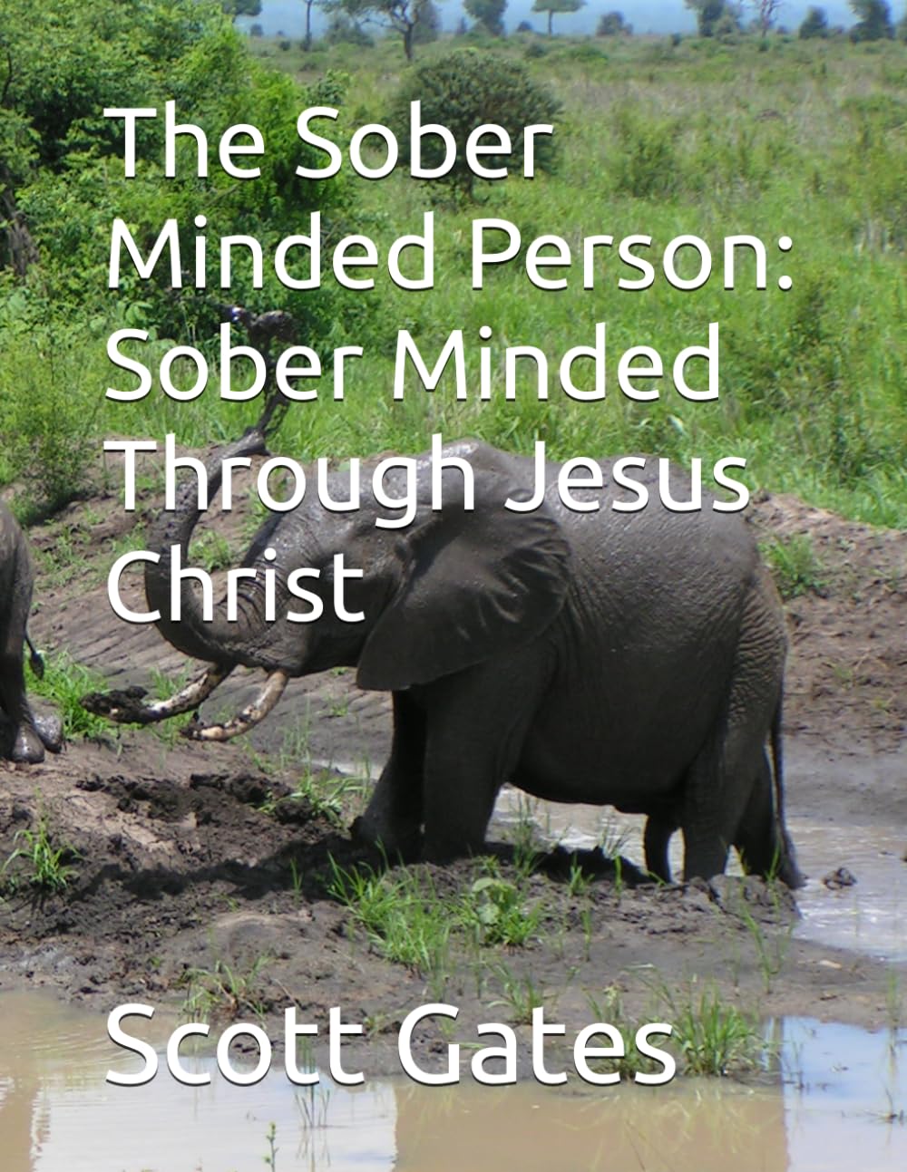 The Sober Minded Person: Sober Minded Through Jesus Christ: The sober Minded Person