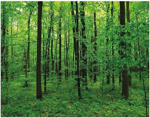 Miniatura 3 de Mural de pared de 55.1 x 29.9in, diseño de camomilas de primavera con estampado de mariquita, extraíble, adhesivo grande para pared