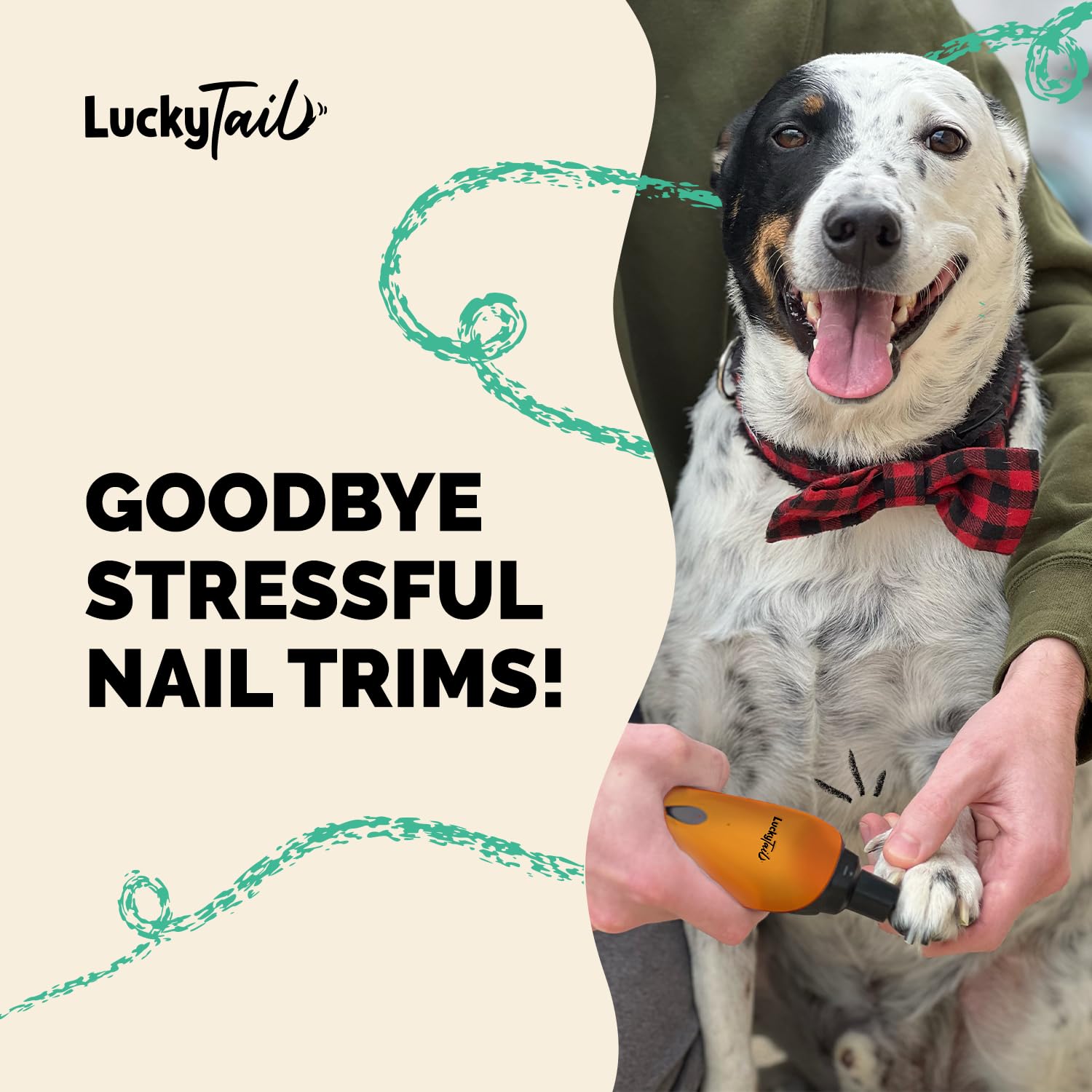 LUCKY TAIL Pet Nail Grinder for Dogs and Cats - Super Quiet and Low Vibration Electric Dog Nail Grinder with 2 LED Lights - USB Rechargeable and Cordless - 2 Speeds - Small to Large Pets - Orange - image 2