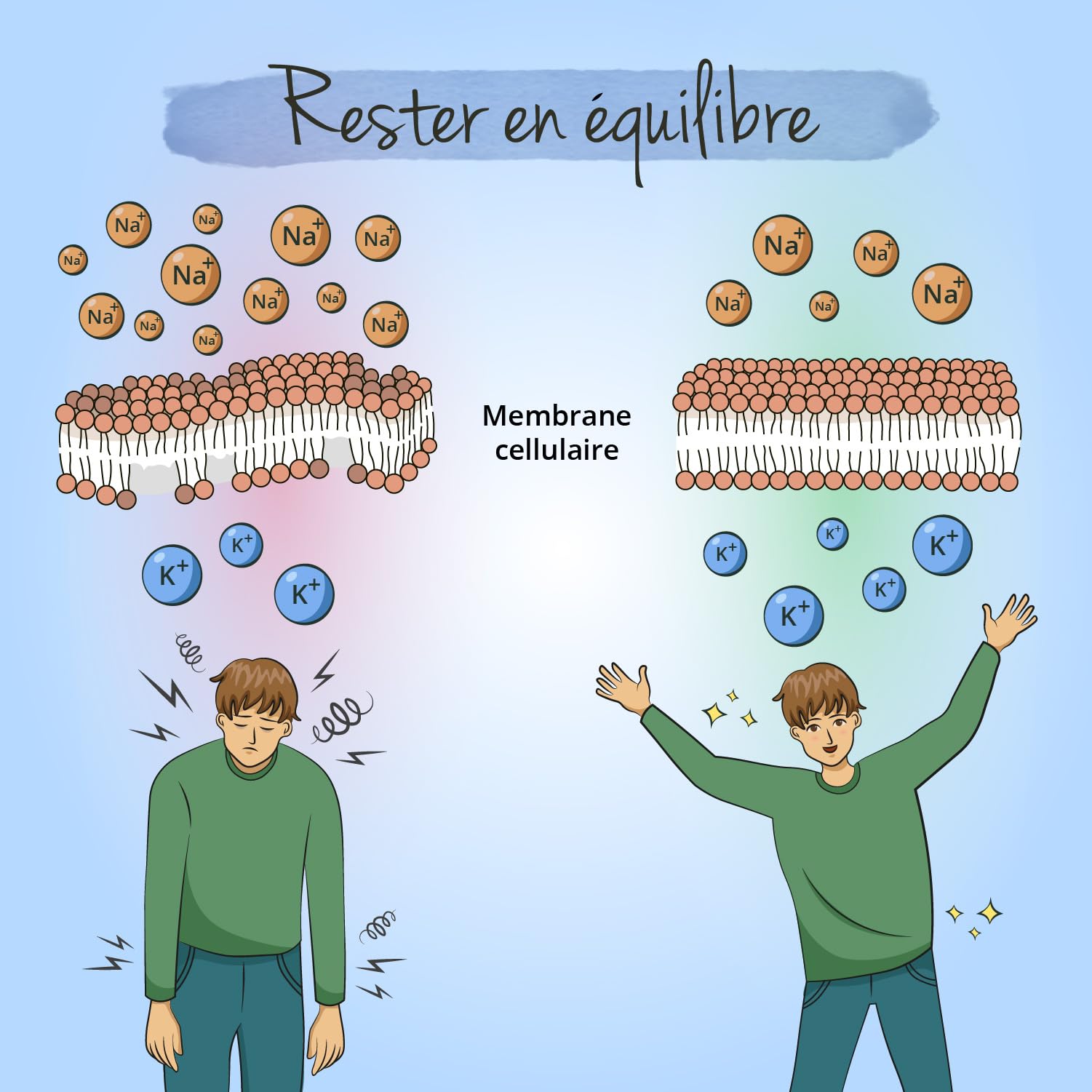 Citrate de Potassium 2222mg | Biodisponibilité Élevée | Sans Additifs & Vegan | Electrolyte, Fonction Musculaire & Système Nerveux* | Vegavero®