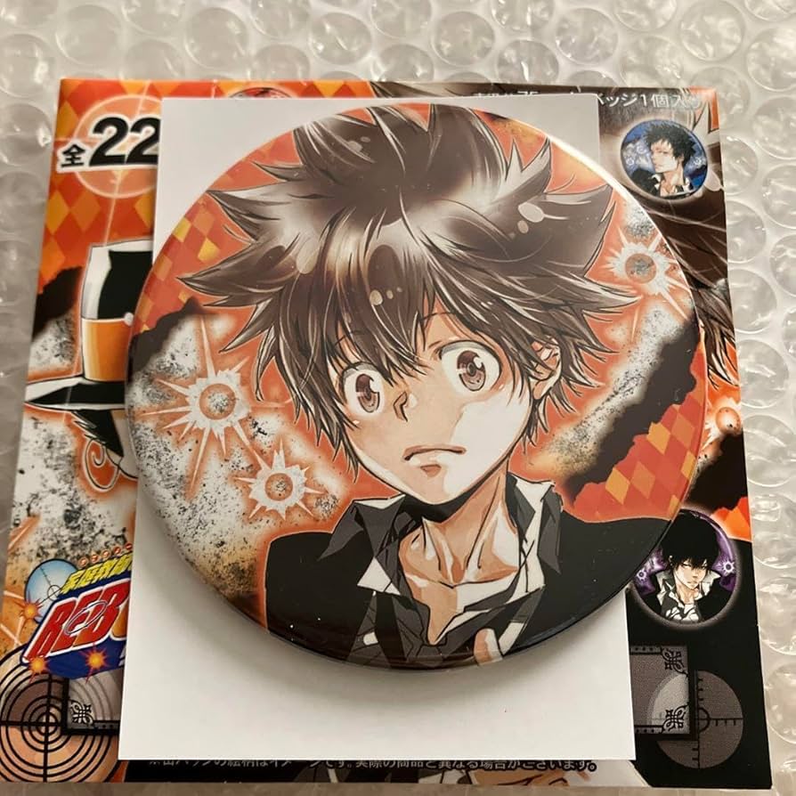 家庭教師ヒットマンREBORN！ コレクション 缶バッジ 沢田綱吉