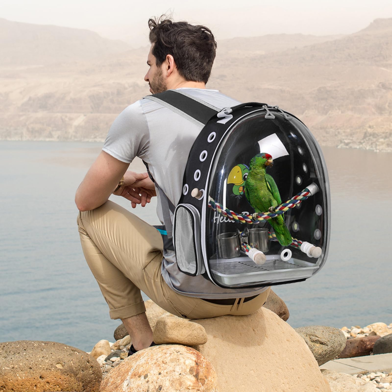 PETCUTE Bolsa de Transporte para Pájaros, Transparente, Transpirable, Mochila para Pájaros con Percha y Bandeja, Espaciosa, Ideal para Viajes en Tren, Automóvil, Restaurante o Avión (Negro)