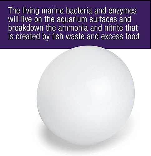 Miniatura 4 de Coralife Tanque de peces de acuario Agua salada marina Suplemento de bacterias para el cuidado del agua pura, paquete de 4