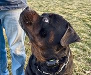 Review Image by P. Shupe