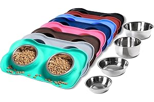 Stainless Steel Mint Green Dog Bowls with Non-Skid Silicone Mat for Mini Dachshunds