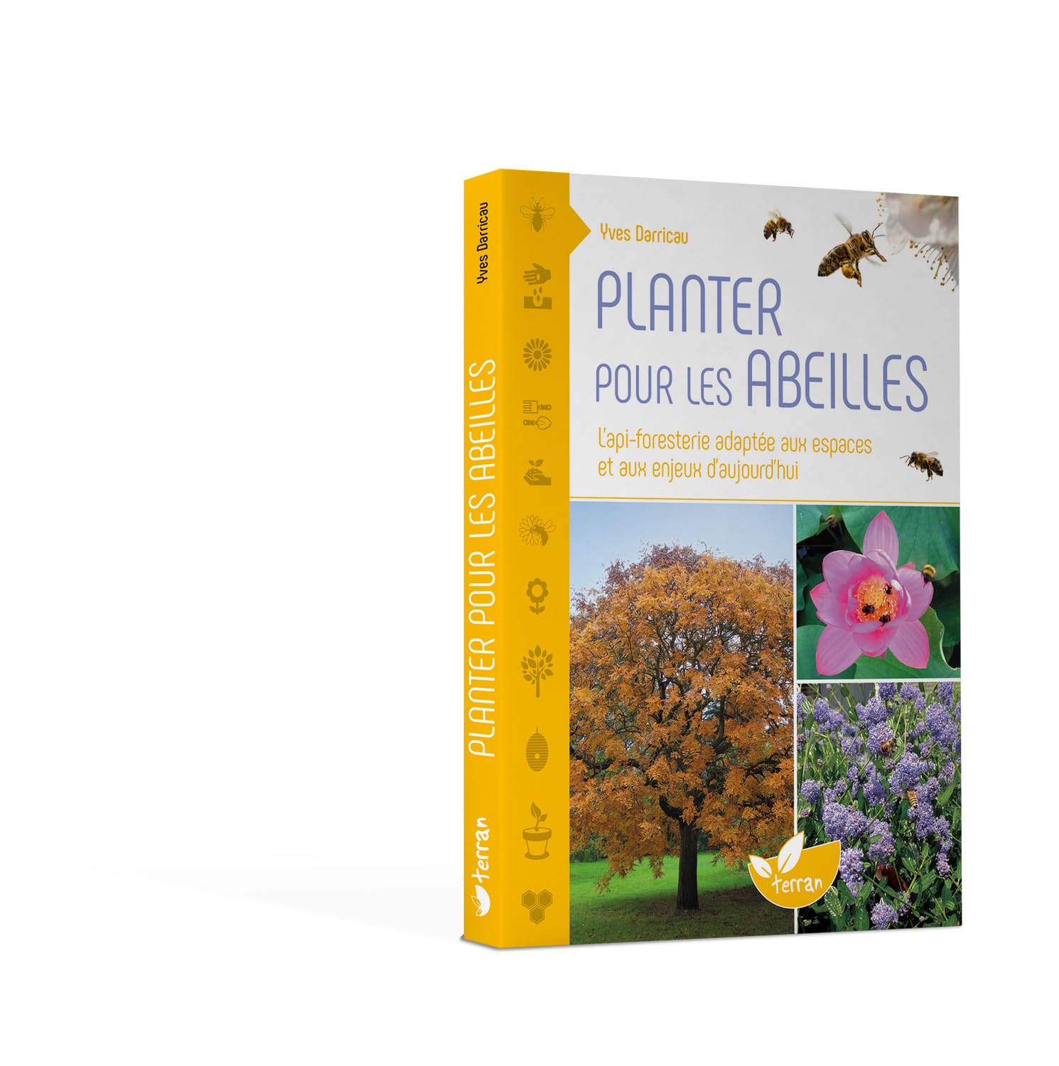 Planter pour les abeilles - L'api-foresterie adaptée aux espaces et aux enjeux d'aujourd'hui