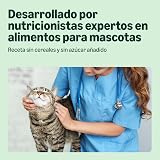 Ver la foto 3