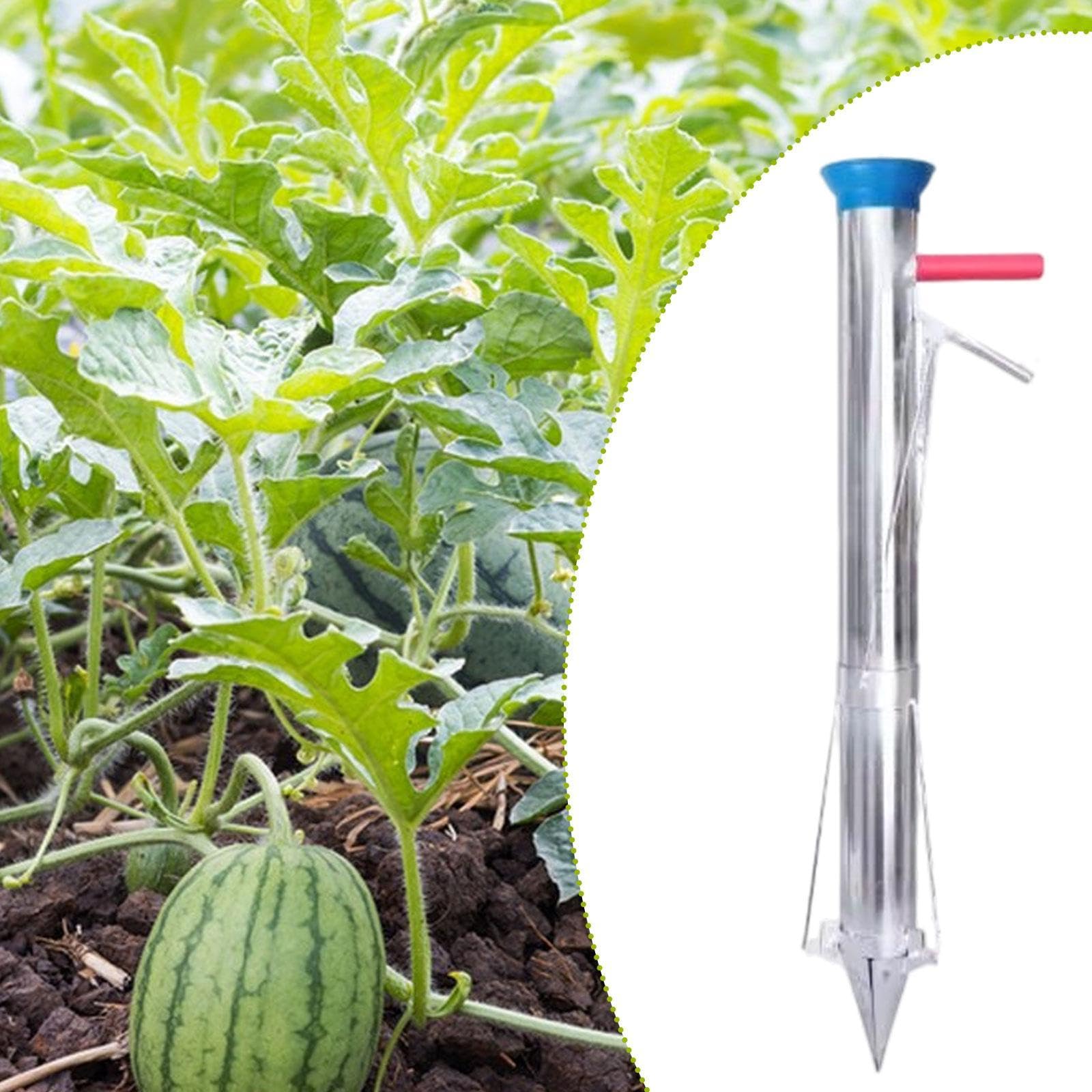 Zwiebelpflanzer Pflanzwerkzeug Gartenwerkzeug Setzlingstransplanter Unkrautstecher Aus Edelstahl Praktisch für Gemüsezucht Blumenpflege Hobbygärtner, Einzelgriff