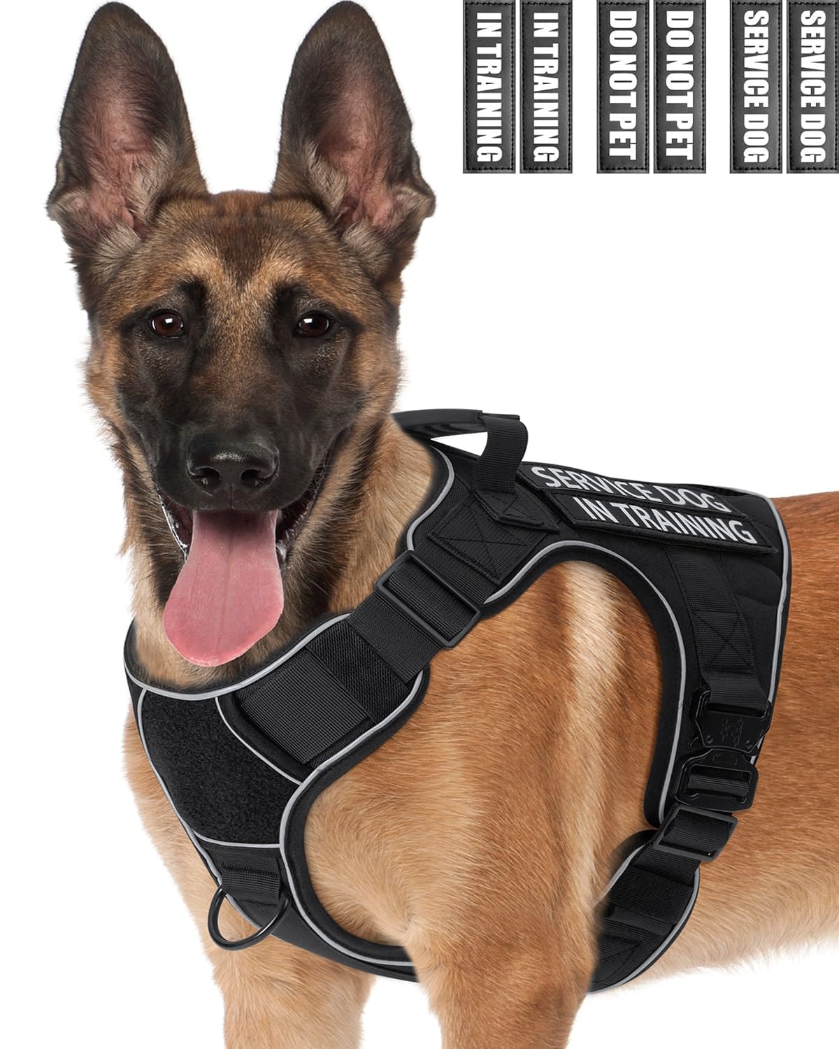 Service Dog Vest for Medium Dogs, Service Dog in Training Harness with Patches, Full Metal Buckles Adjustable Dog Vest for Training Walking