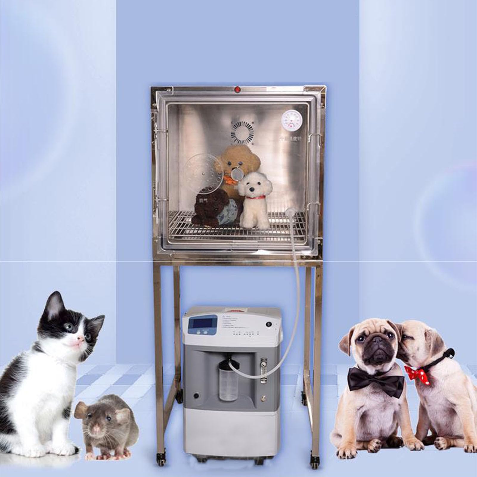 Haustiervernebler für Hunde und Katzen mit Sauerstoffkammer – Tierärztliche Intensivstation für Sauerstoffinhalation und Zerstäubung – Essential Pet Supplies