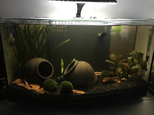 Miniatura 4 de Tarro de cerámica para decoración de acuario, cueva de cría de camarones, adornos para pecera de peces betta, cíclidos de camarones Amano para