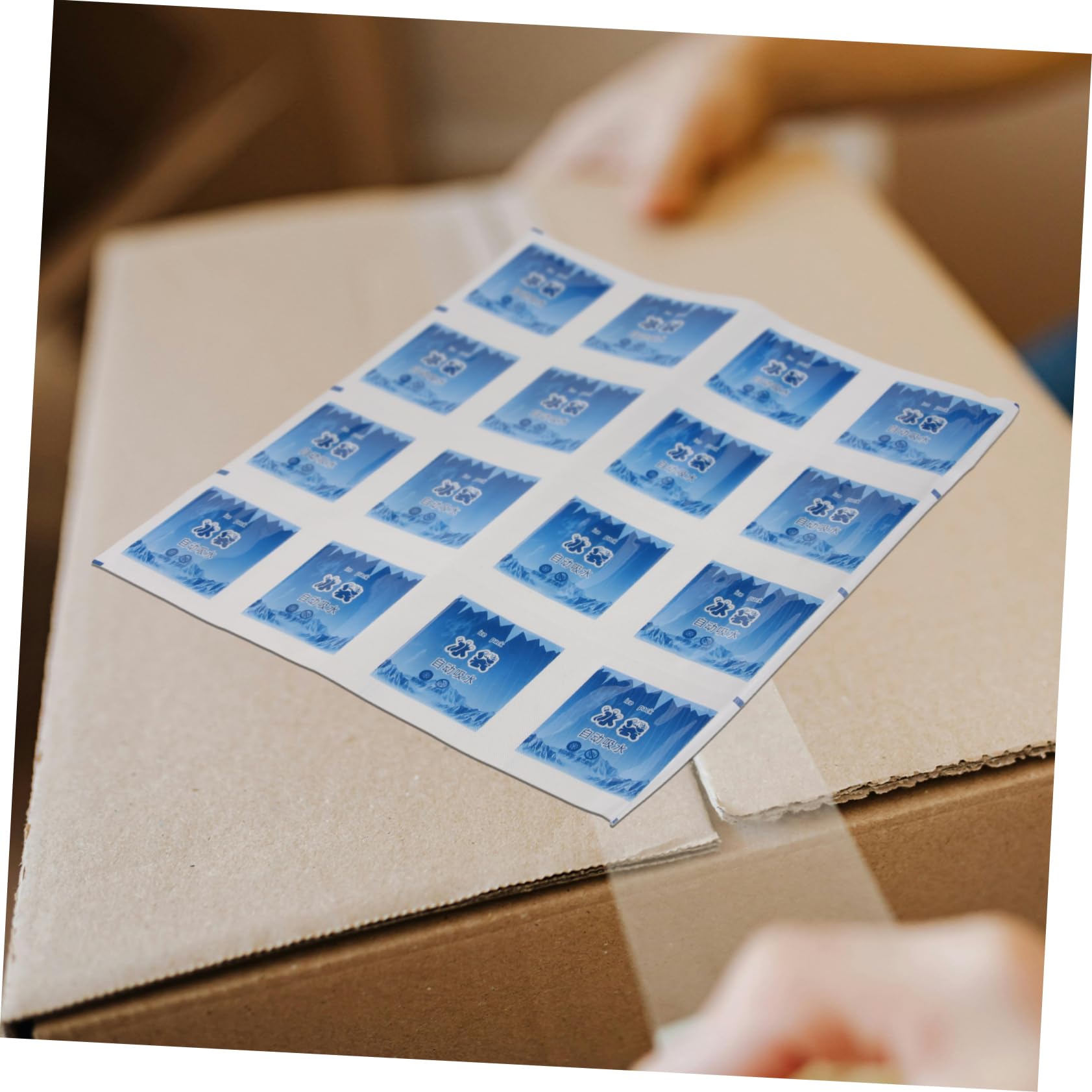 Hemobllo 60 Fogli Sacchetti Ghiaccio Riutilizzabili per Alimenti Termica Frigorifero Formato Autosigillante per Spedizione e Conservazione