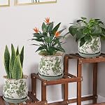 Planters en céramique pour les plantes intérieures avec Saucer, 6 inch Pots de plantes à glaçons avec trous de drainage, pots de fleurs décoratifs pour jardin extérieur, pot toscan pour plante