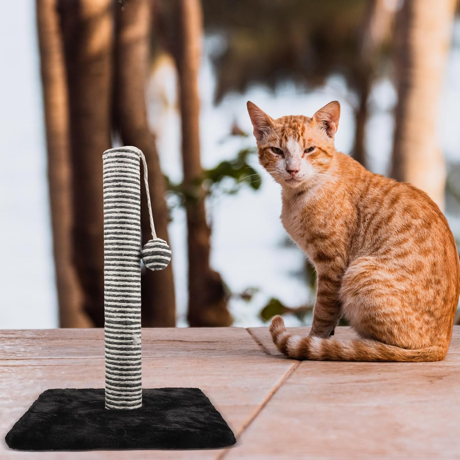 Alipis Cat Scratching Post with Sisal Rope Sturdy Scratcher Pole Hanging Ball Indoor Cat Activity Center
