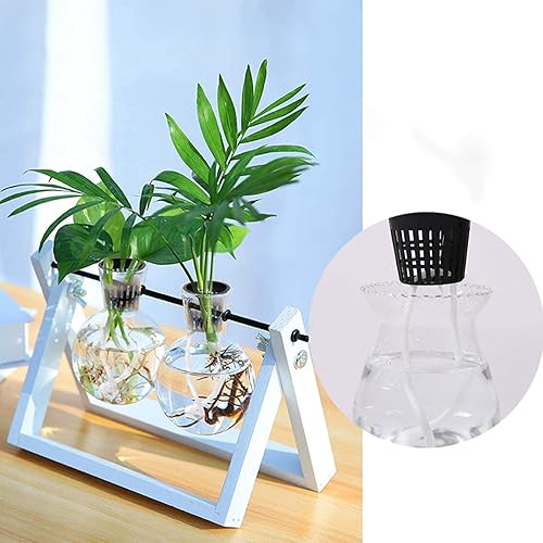 Miniatura 6 de Vasos de red de plástico de 2 pulgadas, macetas para plantas, para orquídeas acuapónicas hidropónicas, 50 unidades, color negro.