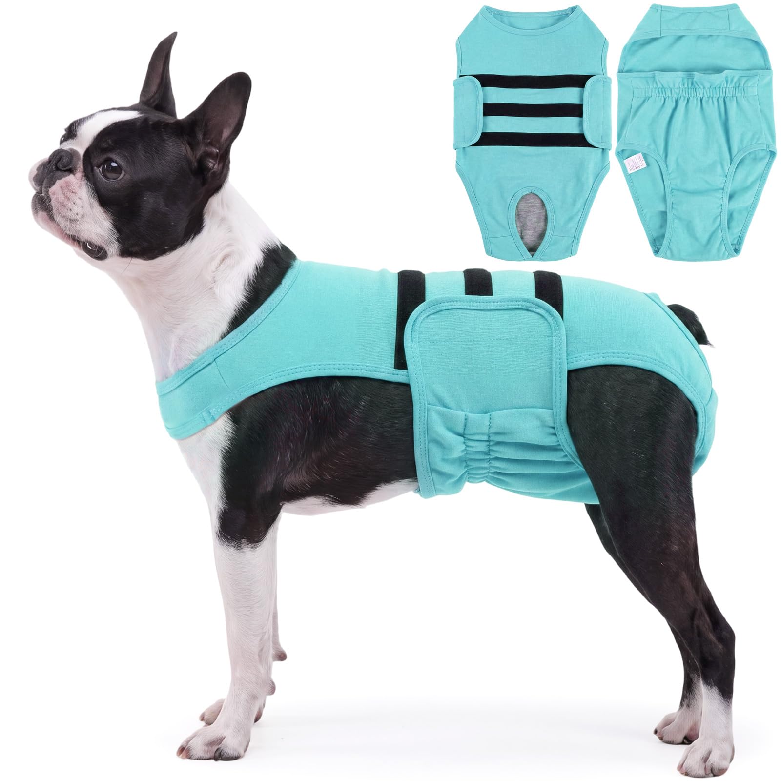 Lelepet Female Dog Diapers with Anti-Slip Suspender, Blue XS