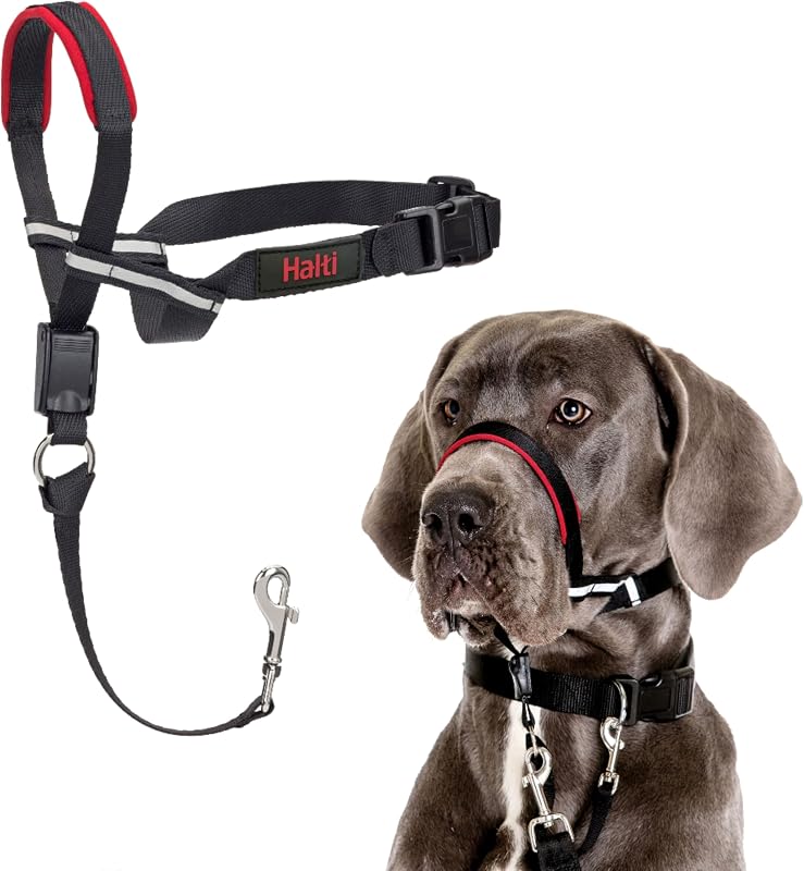 Collar de cabeza Optifit para perros | Tamaño grande | Detenga que su perro tire de la correa | Ayuda profesional de entrenamiento antitracción | Collar de cabeza ajustable y reflectante para perros grandes