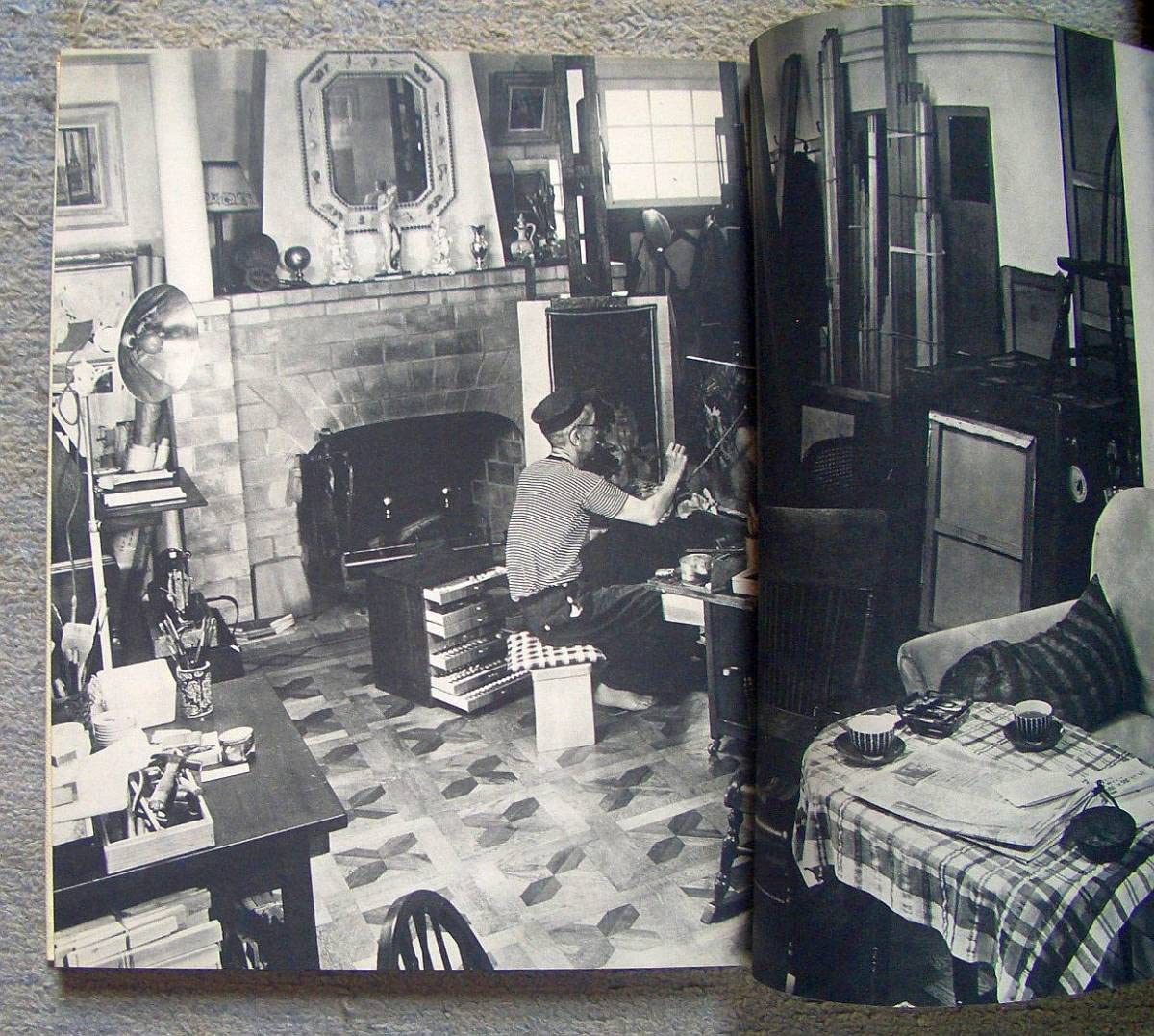 Amazon.co.jp: 猫と女とモンパルナス藤田嗣治（ノーベル書房） : おもちゃ