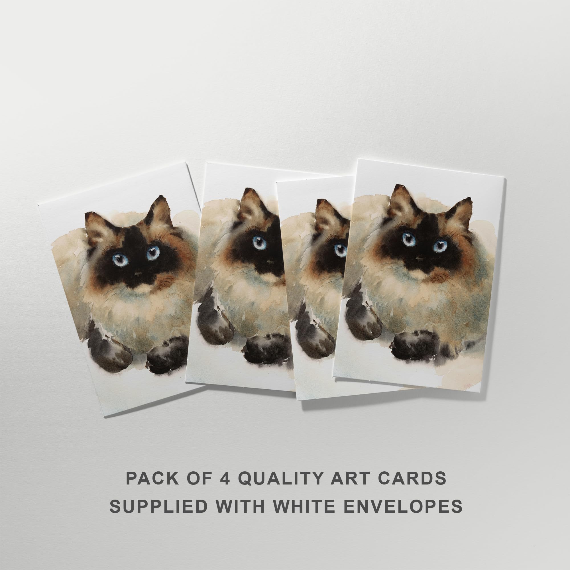 View 5