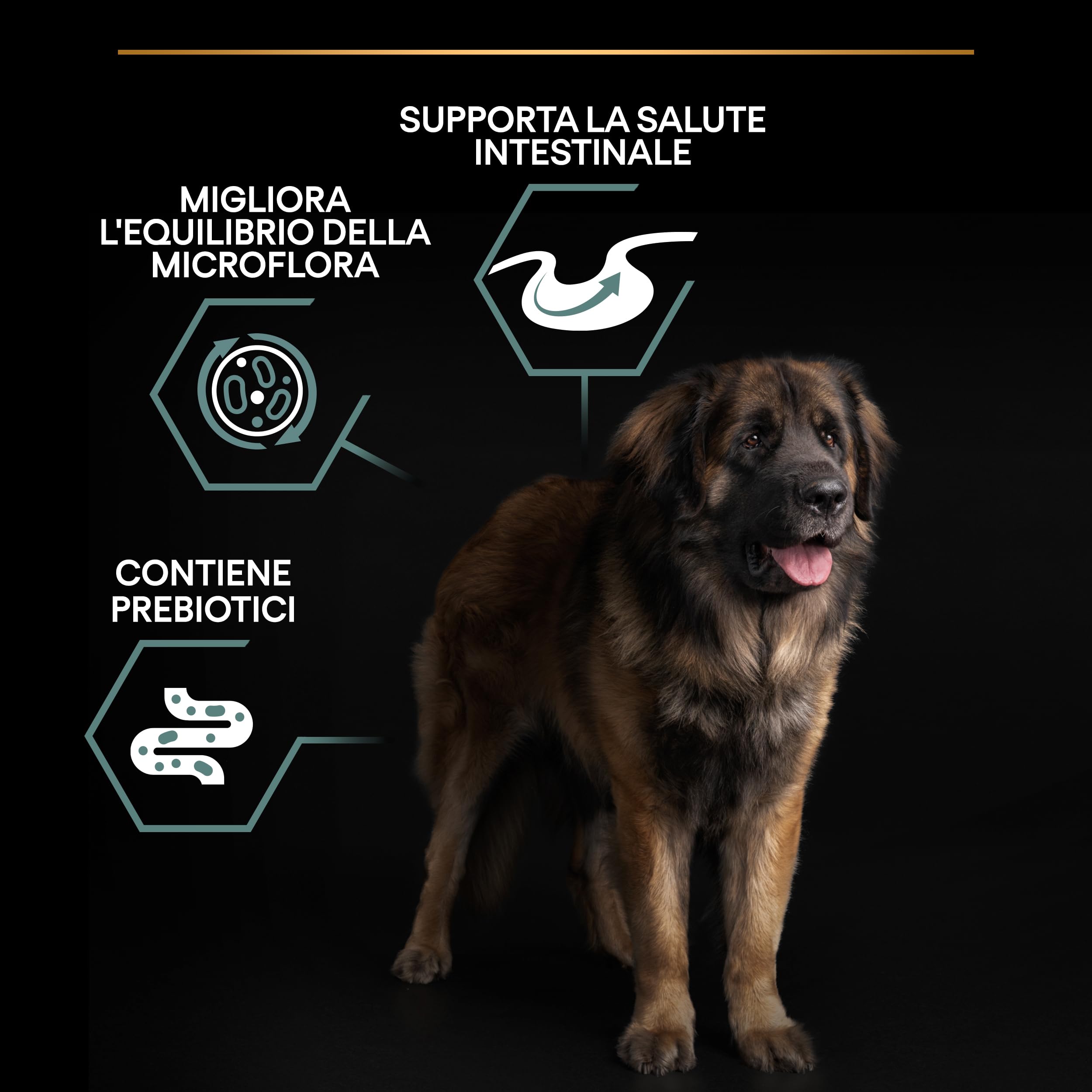 Purina Pro Plan Optidigest Large Robust Adult Crocchette Cani 14 kg