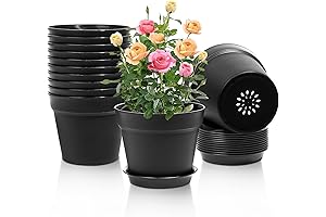 T4U Small 7.5 Inch Plant Pots