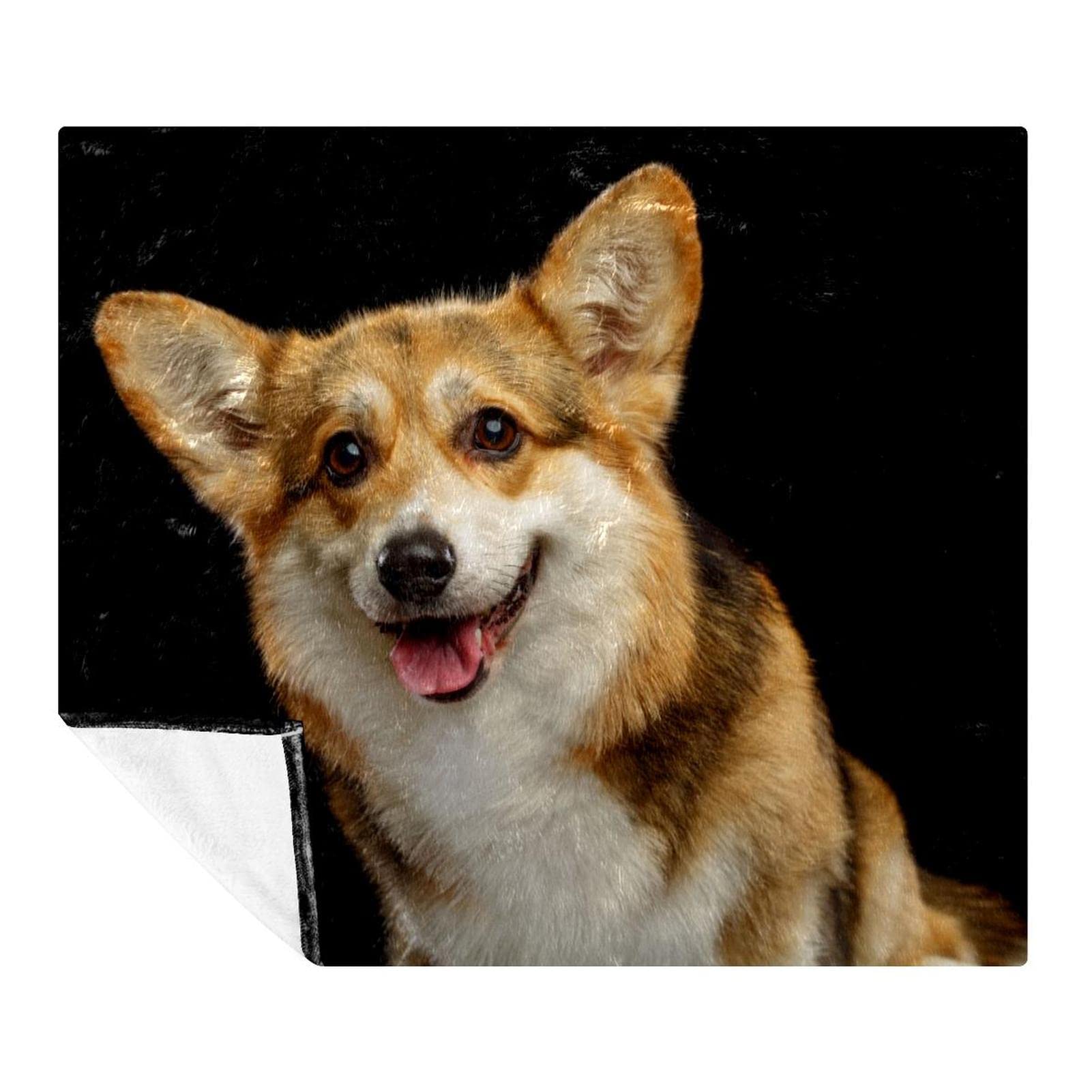 Couverture Welsh Corgi en polaire microfibre 150x130 cm pour canapé