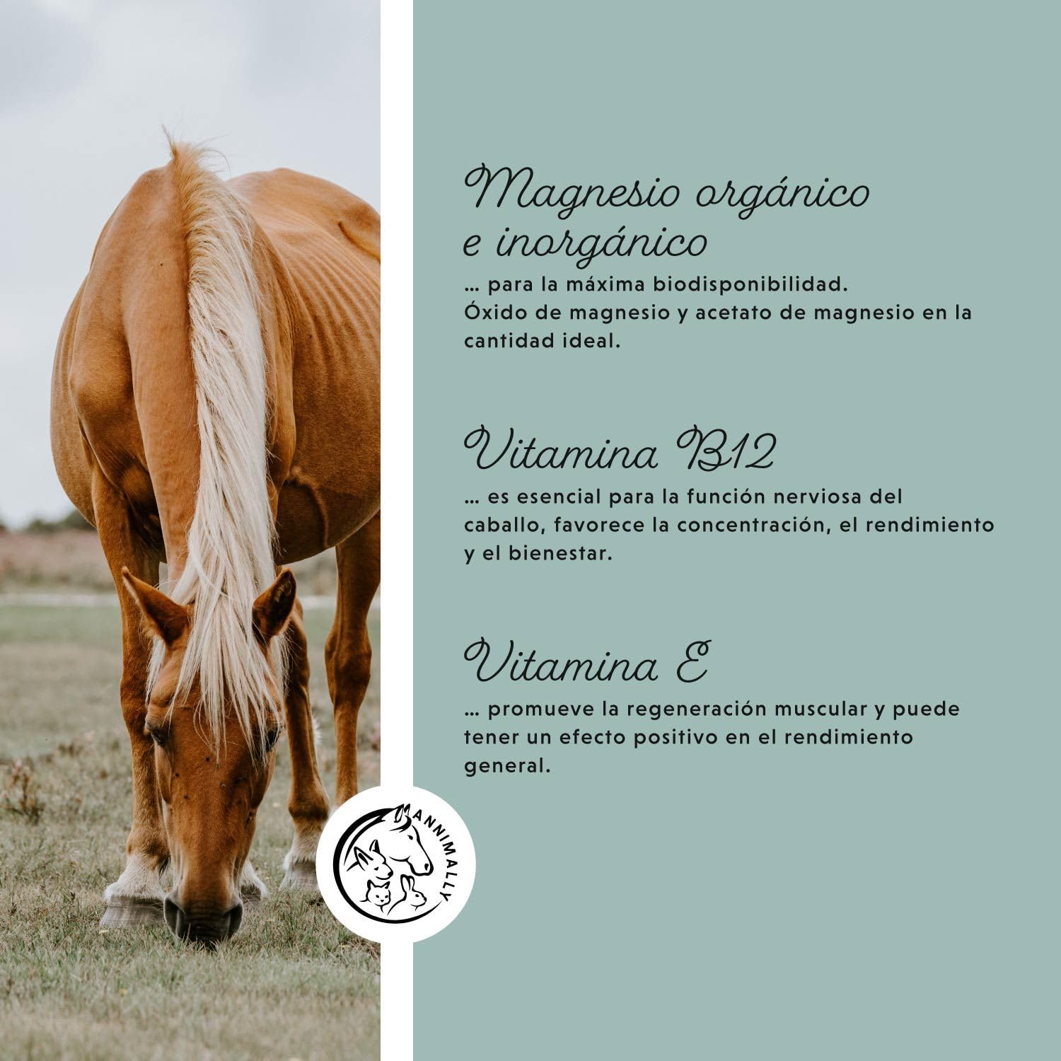 Annimally Pellets de Magnesio para Caballos 1 kg - Acetato de Magnesio y Óxido de Magnesio para una máxima biodisponibilidad
