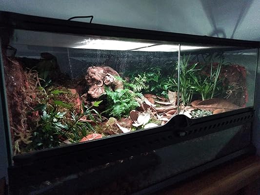 bioactive hamster cage